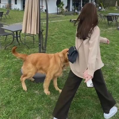 飓猩营救海报
